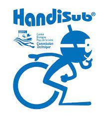 logo handisub
